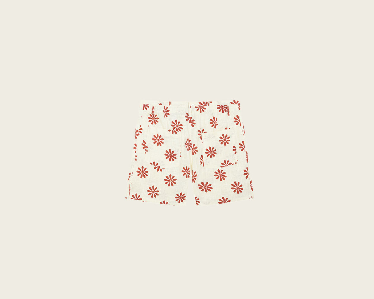 Beverly Bermudas Marigold Flowers
