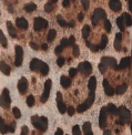 Ines Top — Leopard